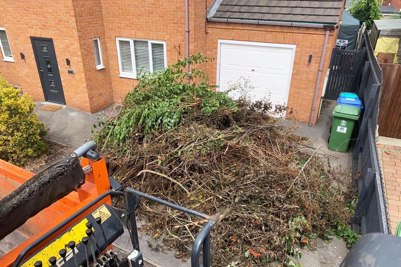Green Waste Removal