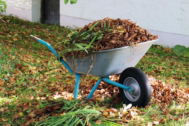Green Waste Removal