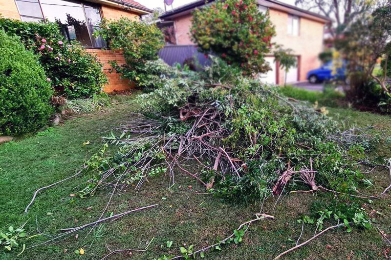 Green Waste Removal